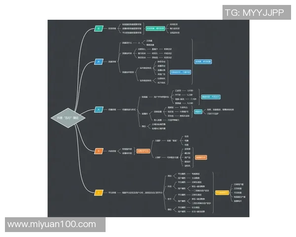 深入分析FPX的运营策略与战术布局解析