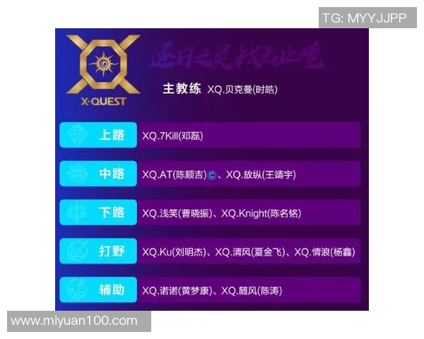 深入探讨王者荣耀RNG战队的团队配合与战术策略分析